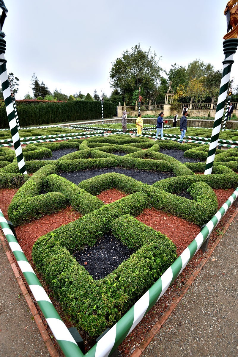 新西兰哈密尔顿花园      2/4