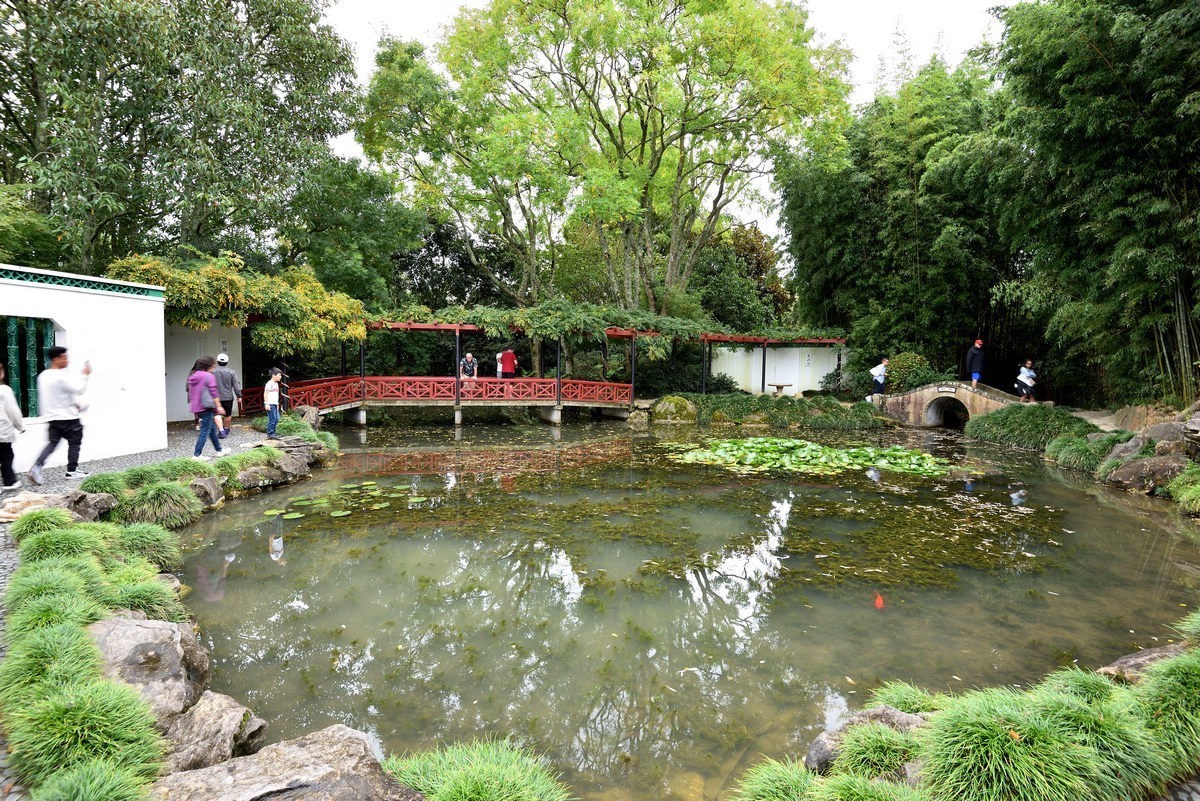 新西兰哈密尔顿花园      2/4