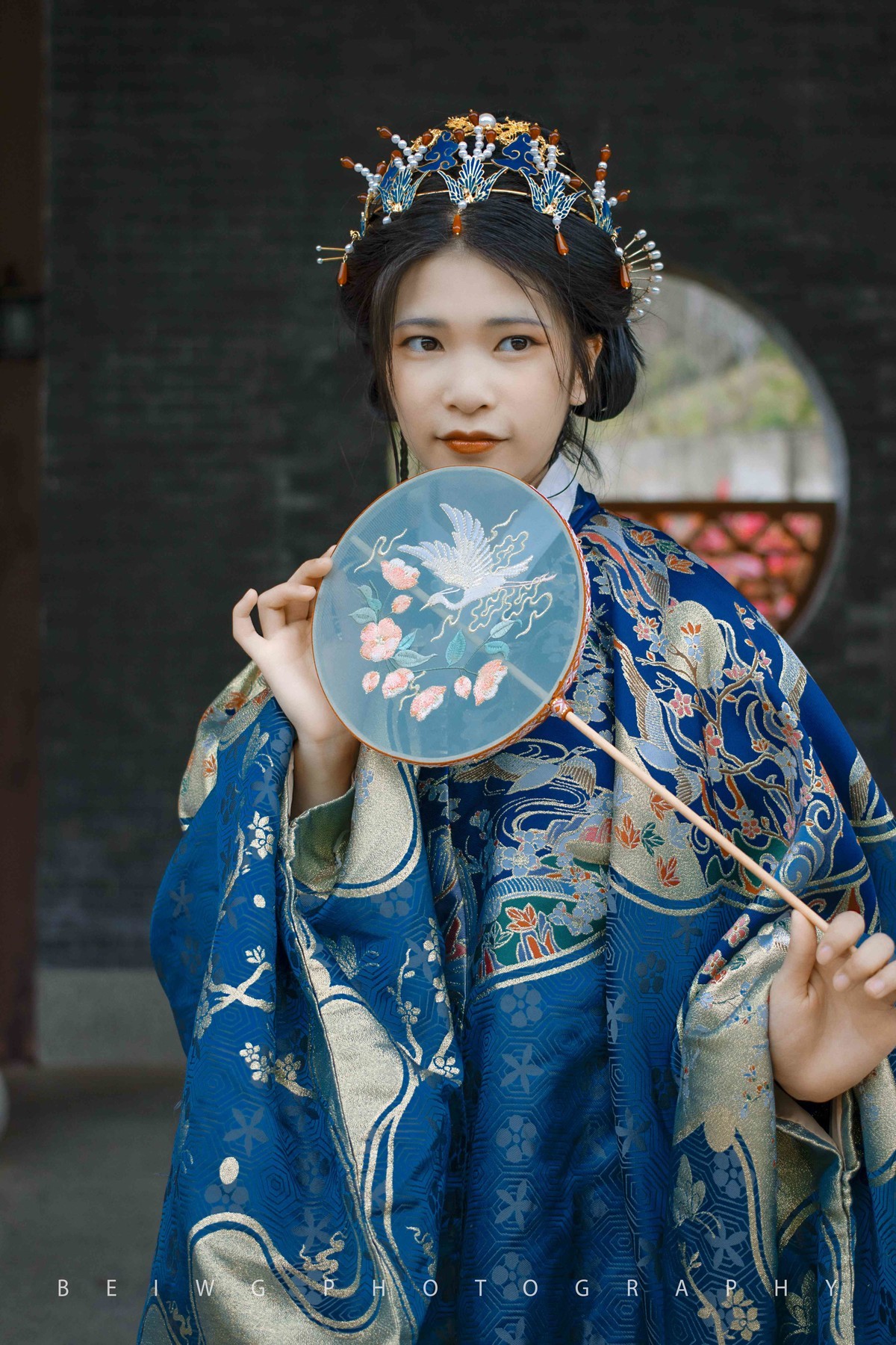 什么是华美巨蚊