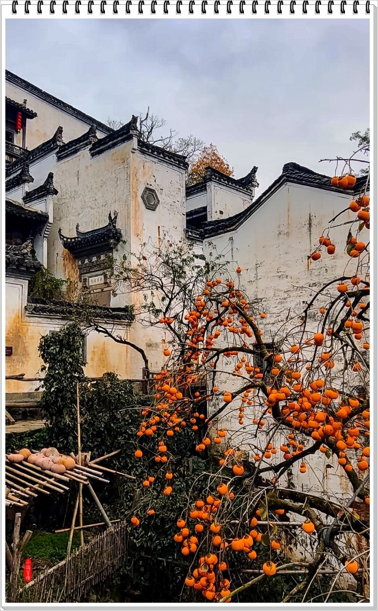 2023年-篁岭晒秋抓拍-973
