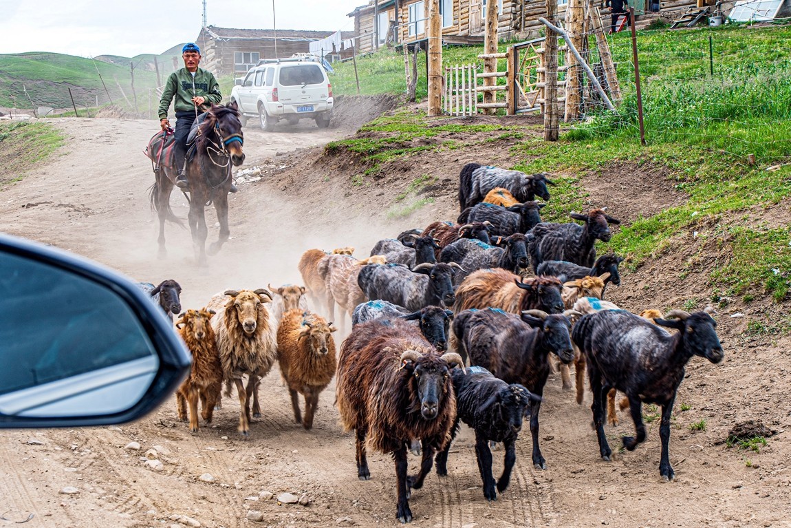 新疆行游--琼库什台返回特克斯县途中【3】