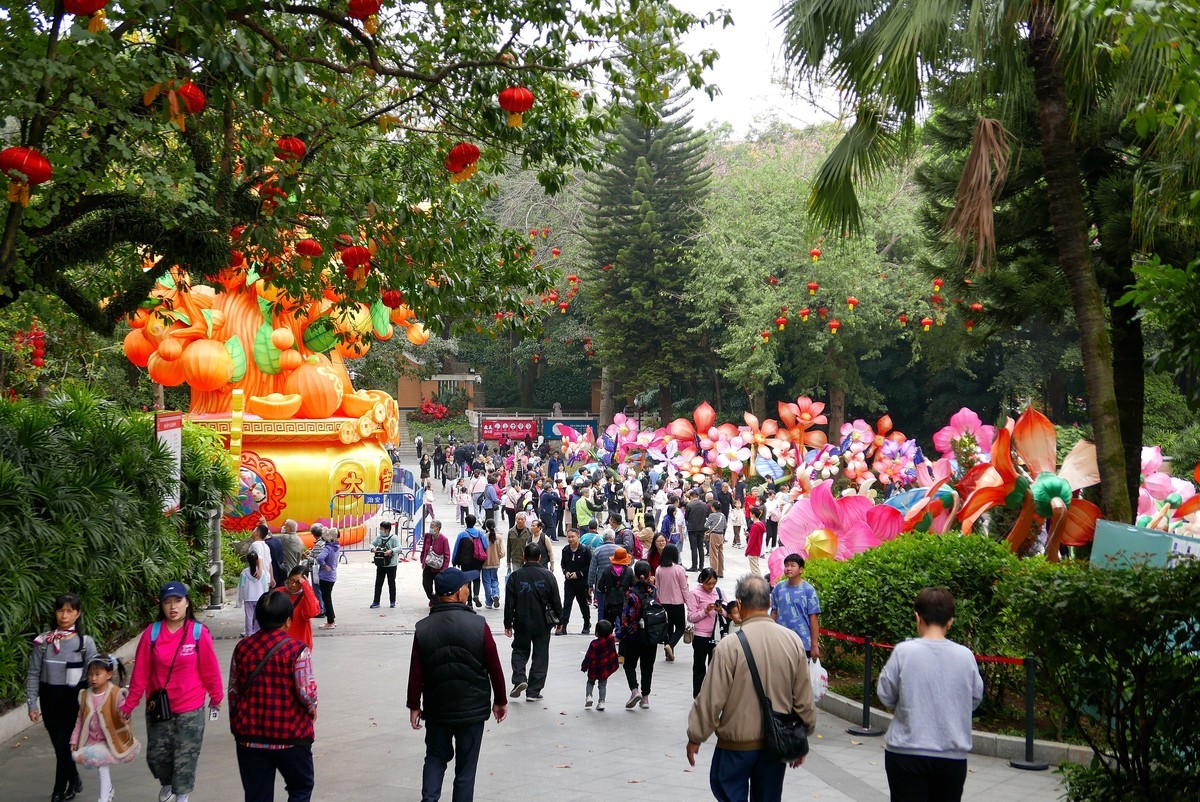 春节灯会四年后再见