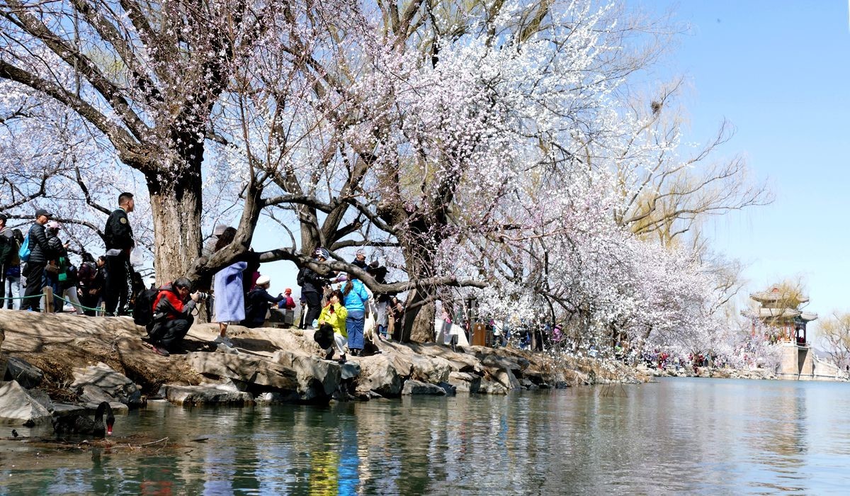 春分时节颐和园【四】