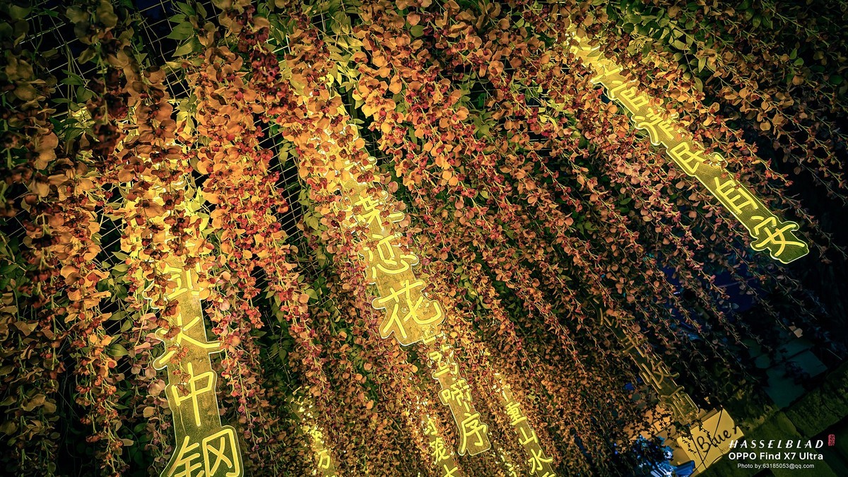 2024-07-27 晚上意式风情街遛弯儿随拍