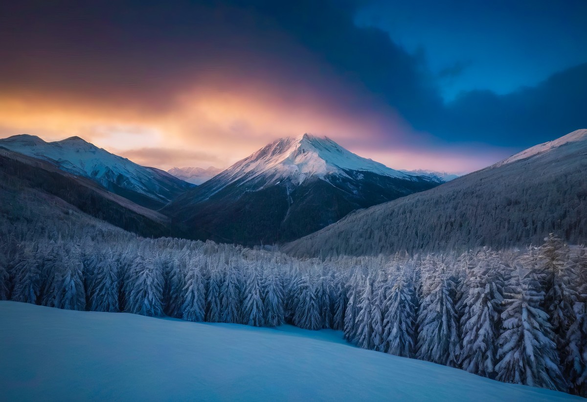 觅一份静谧时光