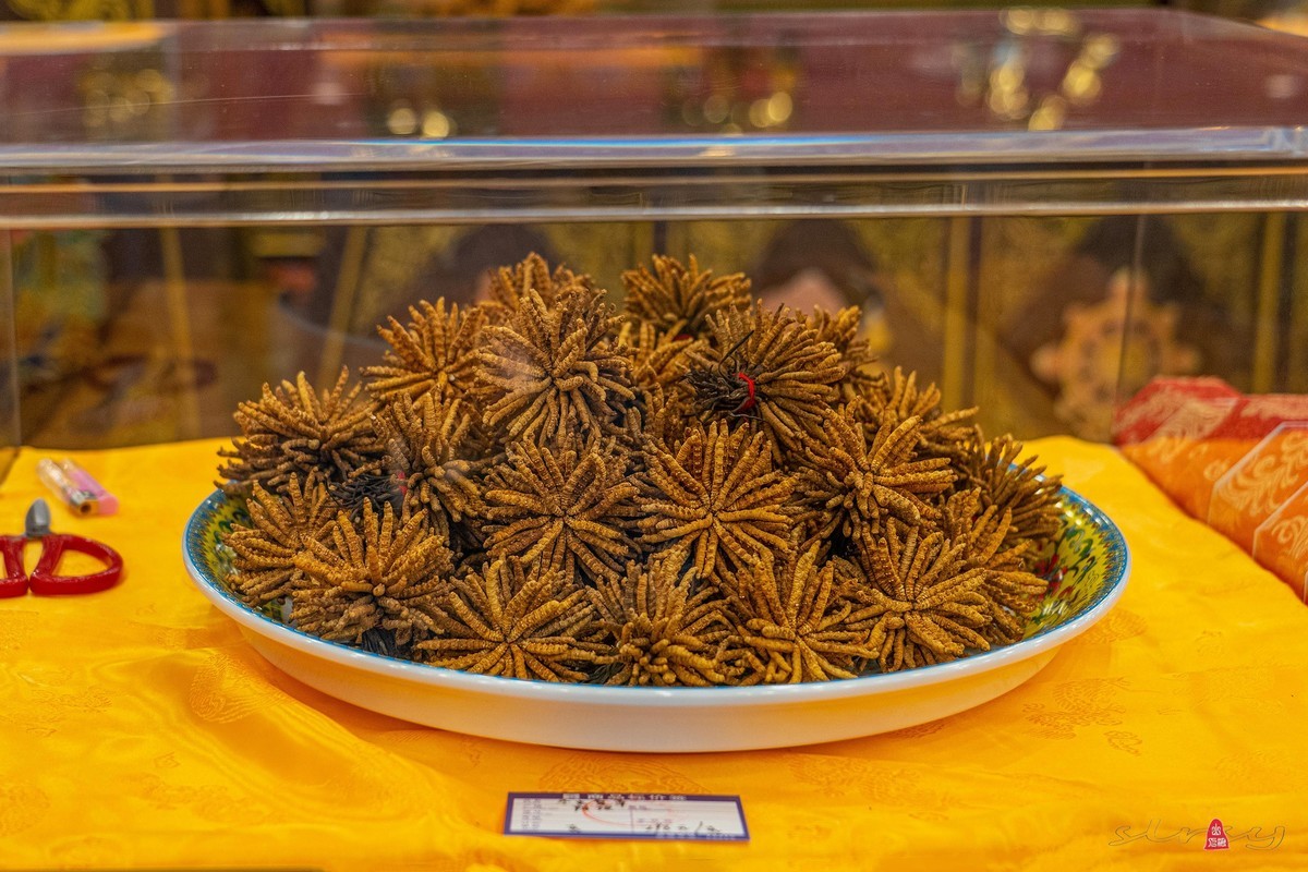 四川行（八）藏乡新貌（1）