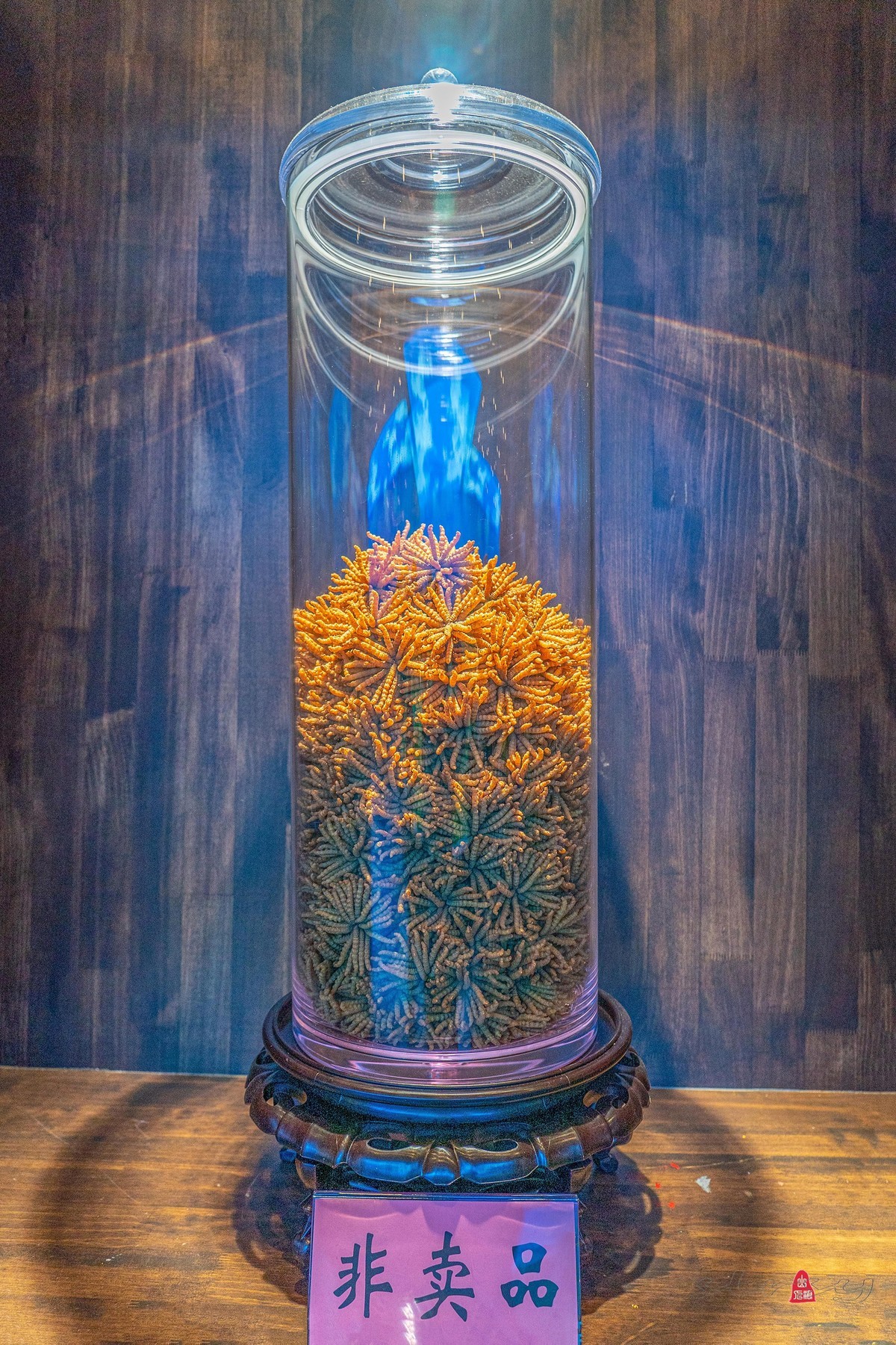 四川行（八）藏乡新貌（1）