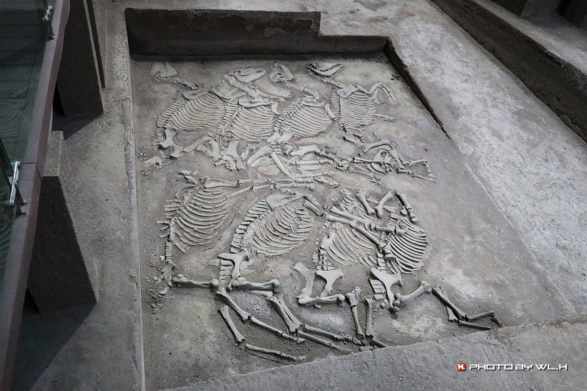 太公在此——陈庄.唐口遗址