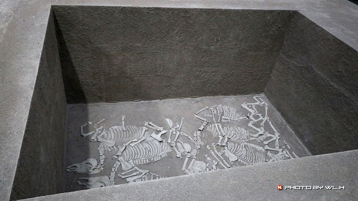 太公在此——陈庄.唐口遗址