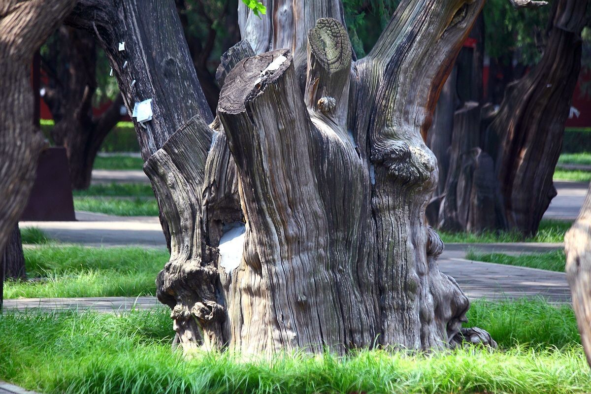 刚买了RP机，还没到手，过来串串门！