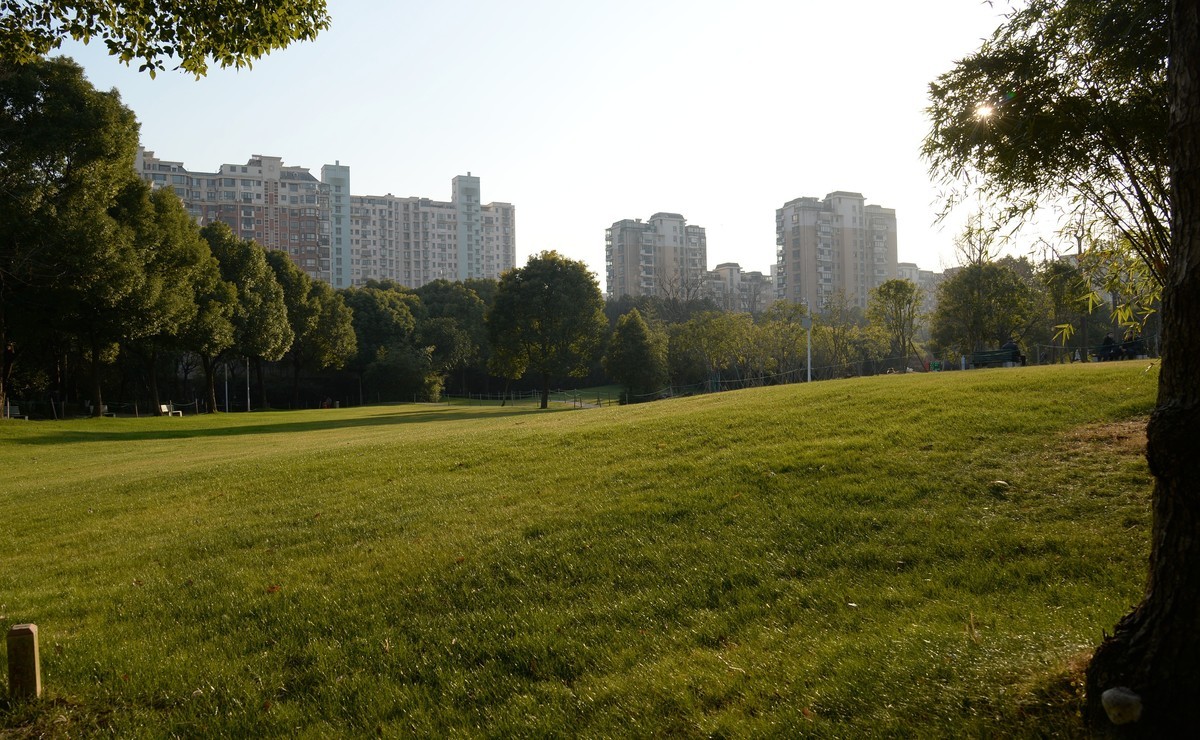 冬园夕辉（六）