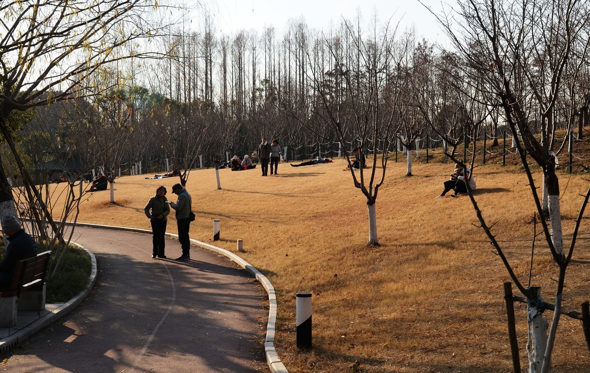 冬园夕辉（六）