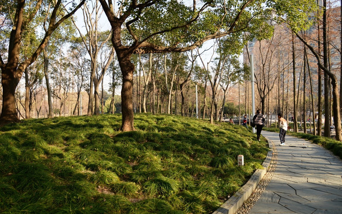 冬园夕辉（六）