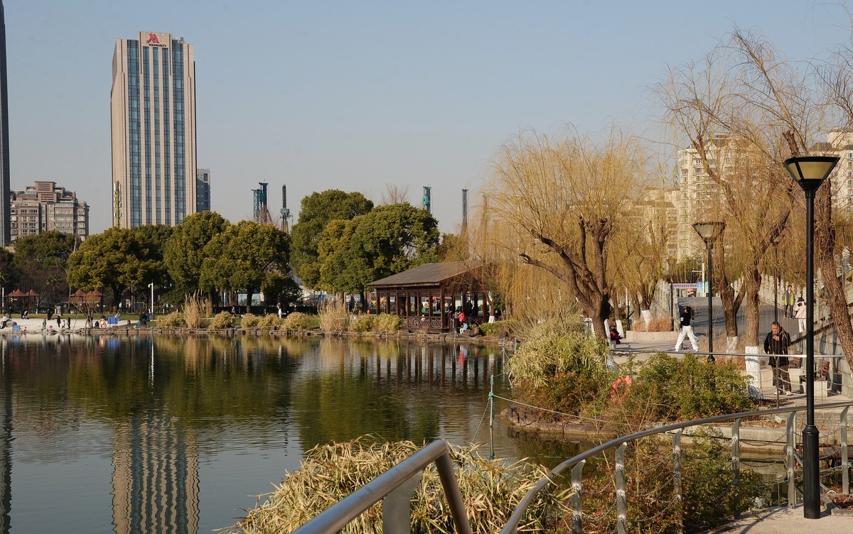 冬园夕辉（六）