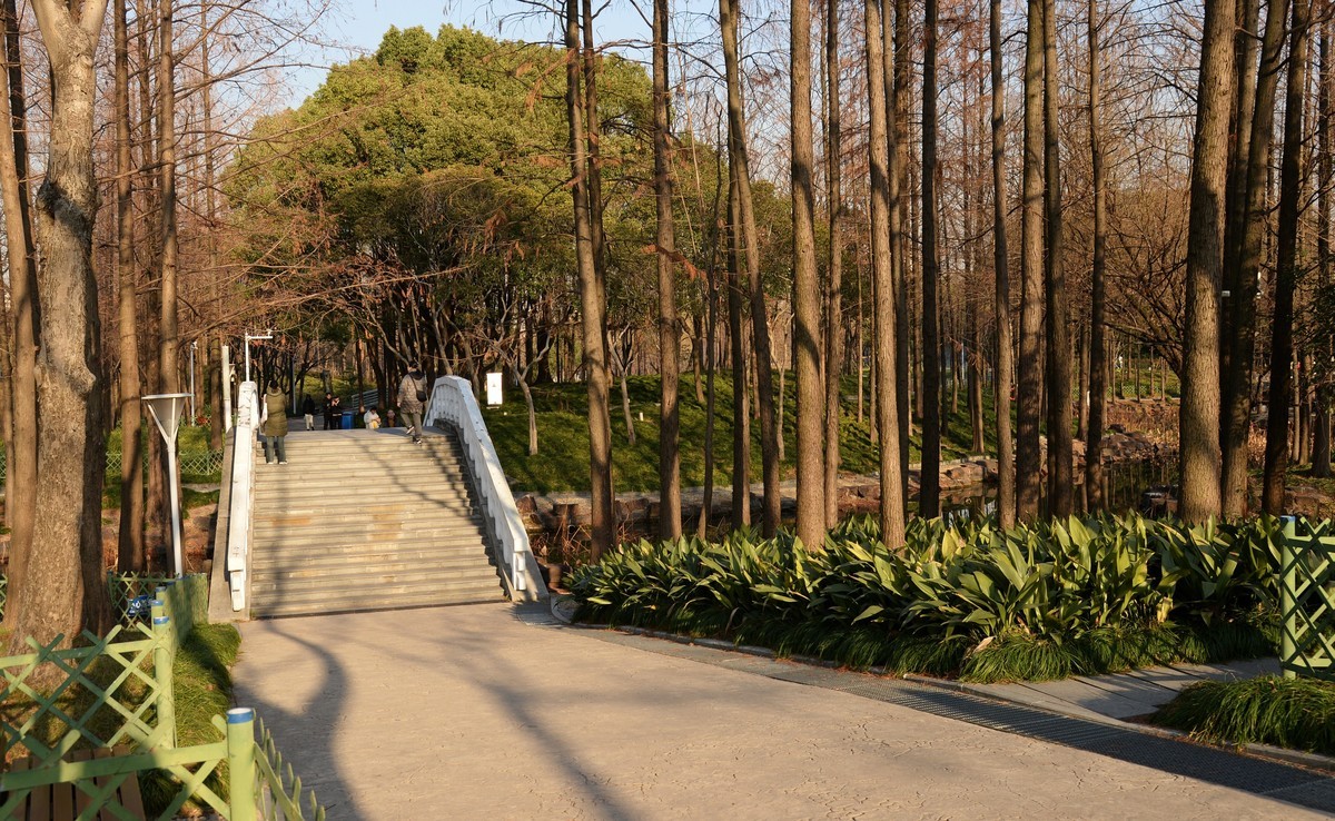 冬园夕辉（六）