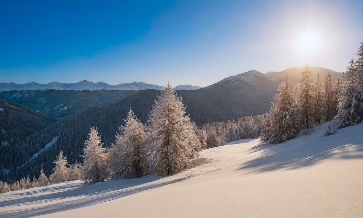 心灵与自然的和谐