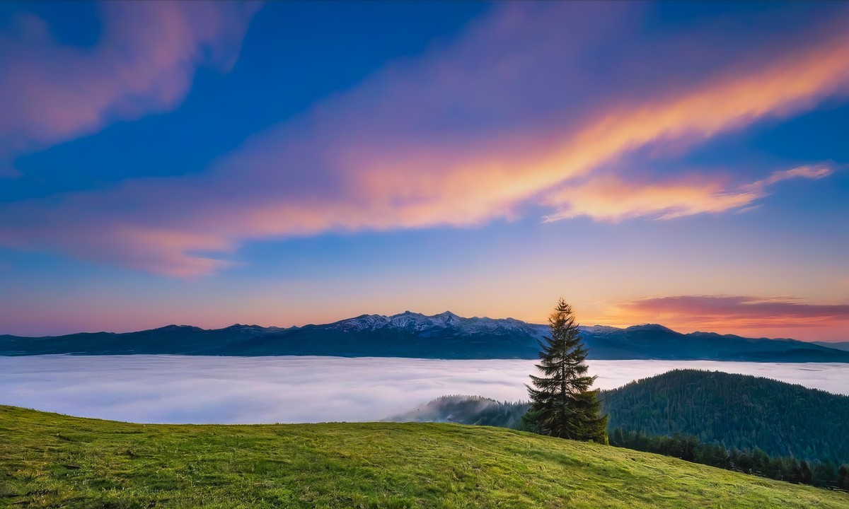 心灵与自然的和谐