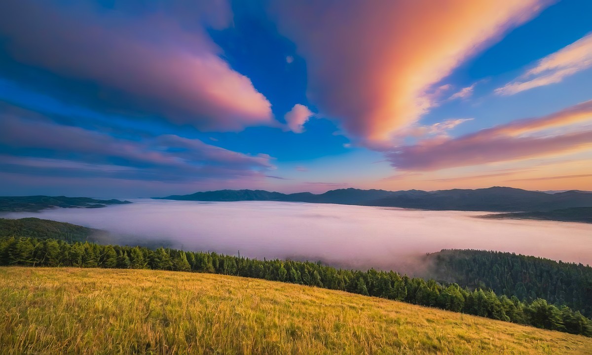 心灵与自然的和谐