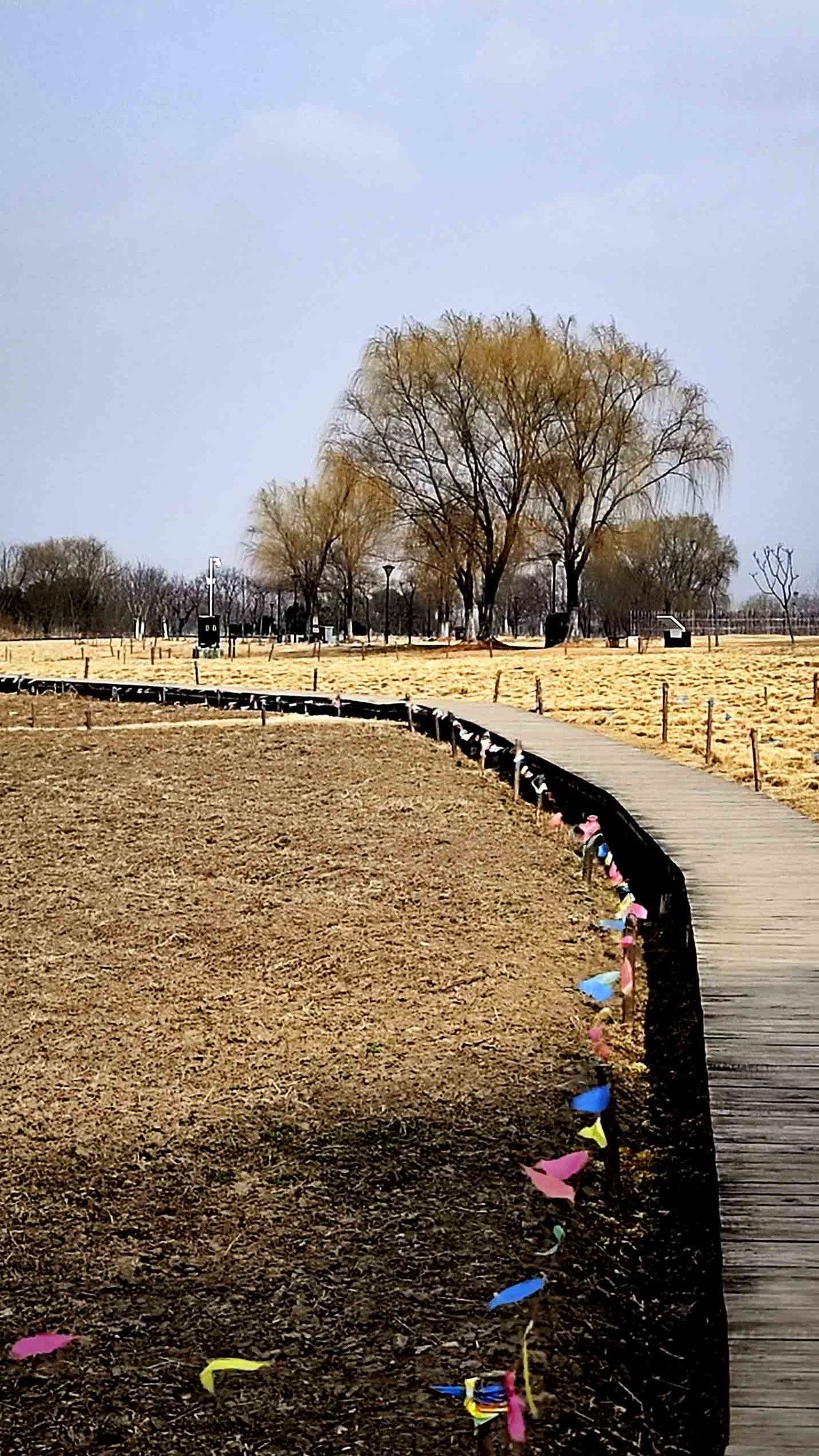 安徽铜陵西湖湿地公园