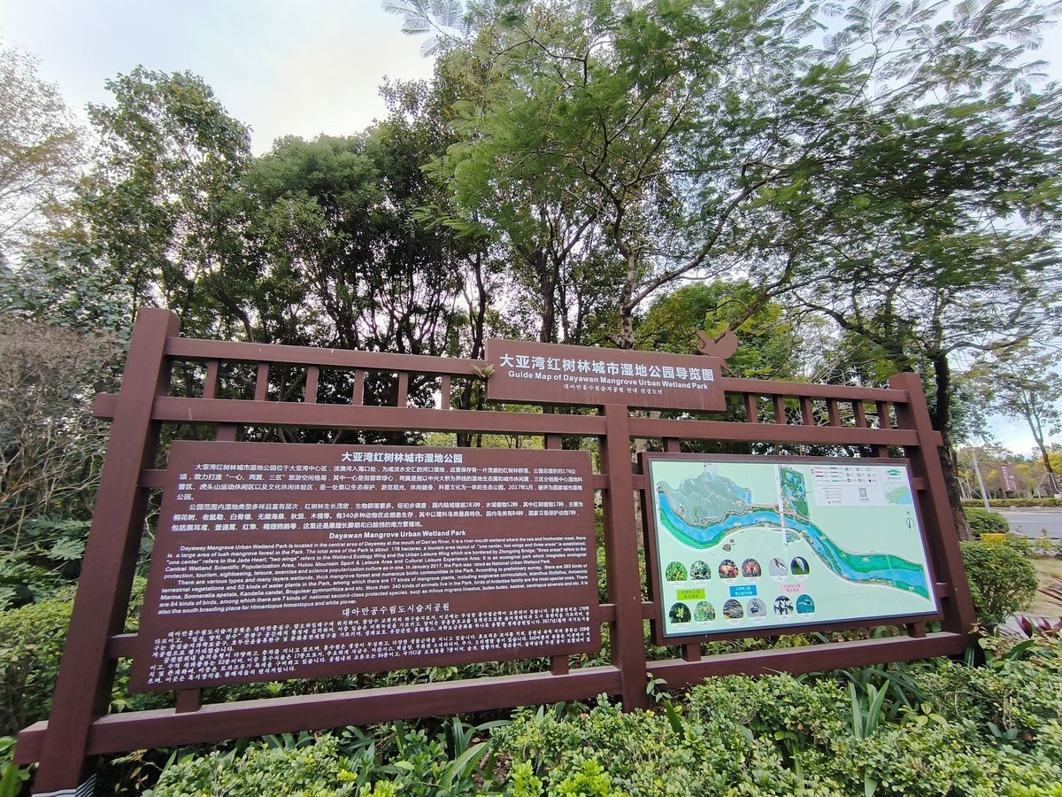 2025春节 广东行（94）大亚湾红树林公园