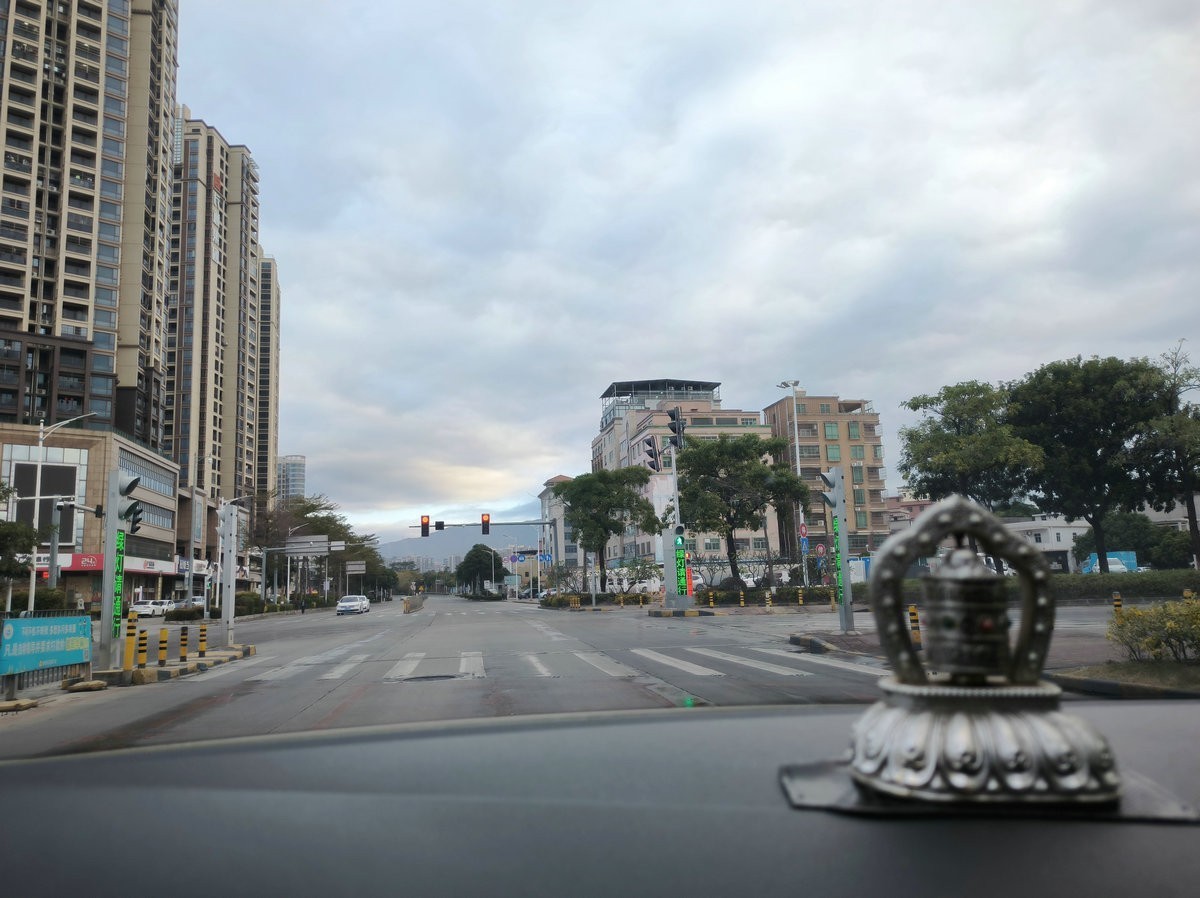 2025春节 广东行（94）大亚湾红树林公园