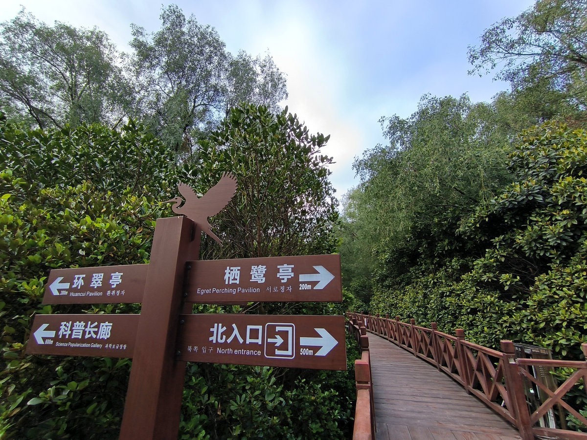 2025春节 广东行（94）大亚湾红树林公园