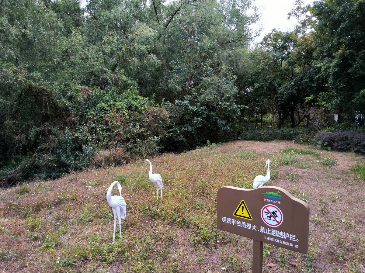 2025春节 广东行（94）大亚湾红树林公园