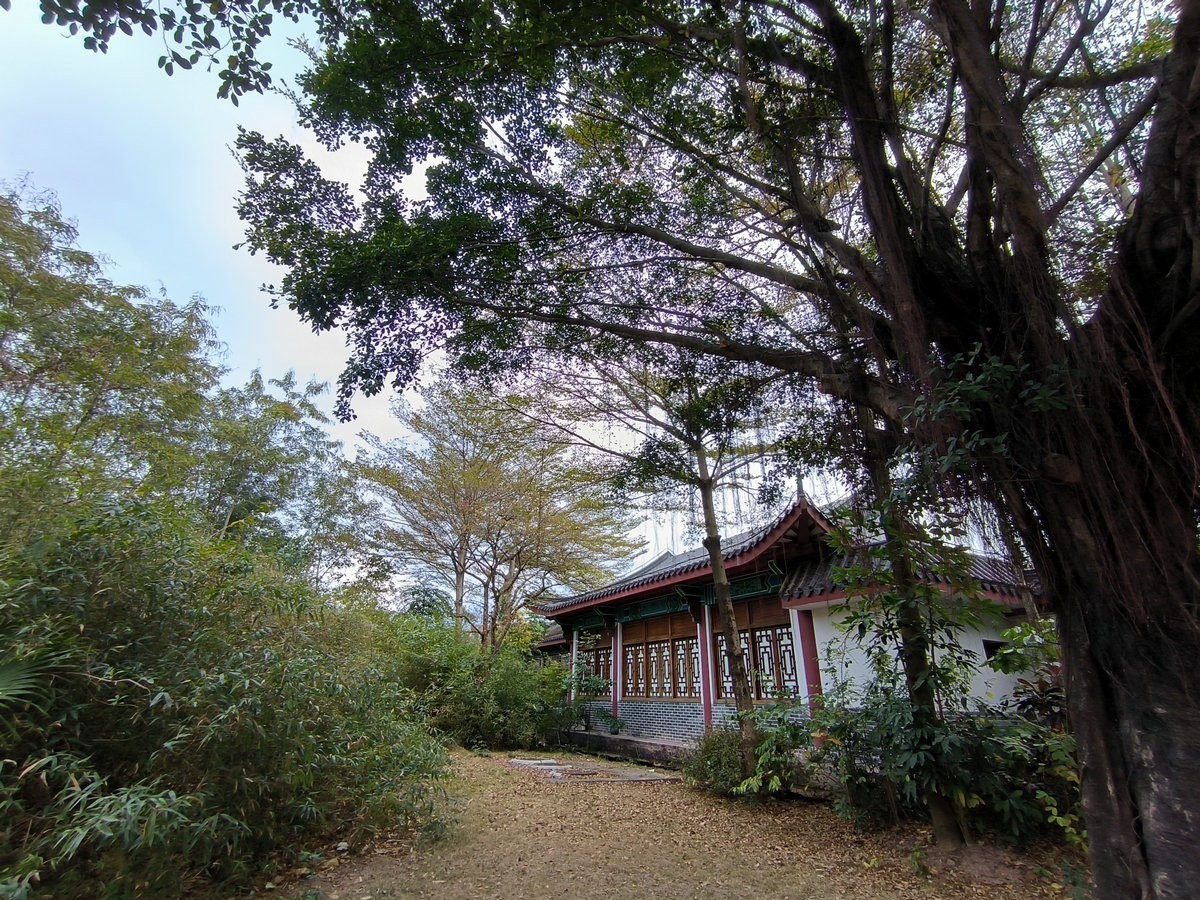 2025春节 广东行（94）大亚湾红树林公园