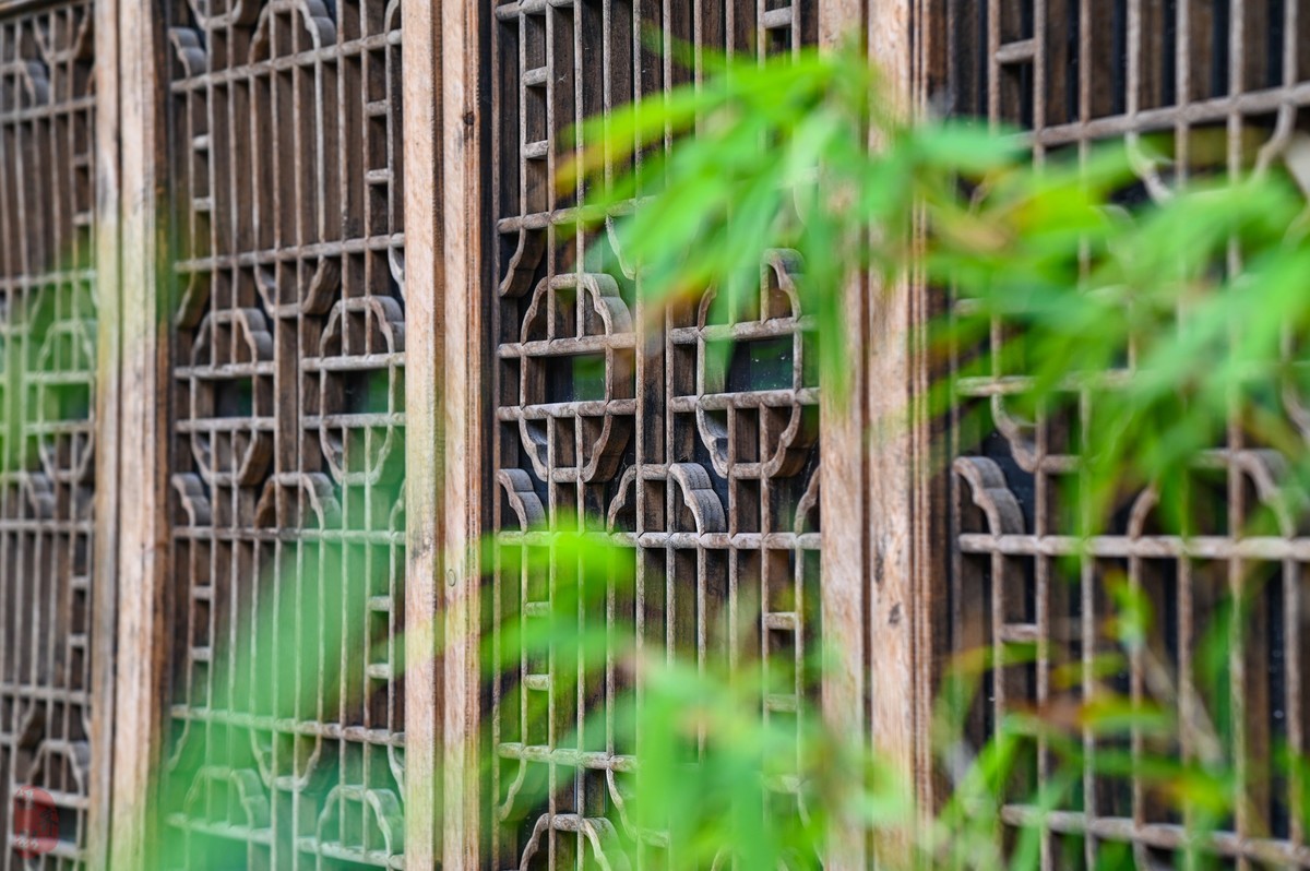 D780生不逢时-拍大岭