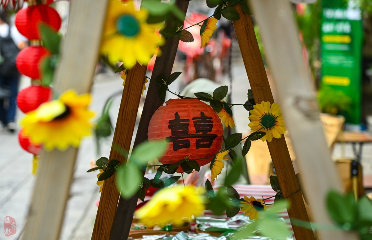 D780生不逢时-拍大岭