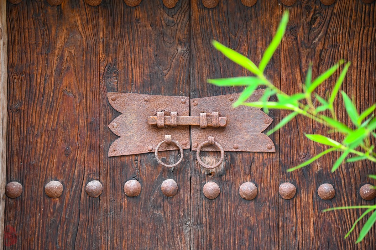 D780生不逢时-拍大岭