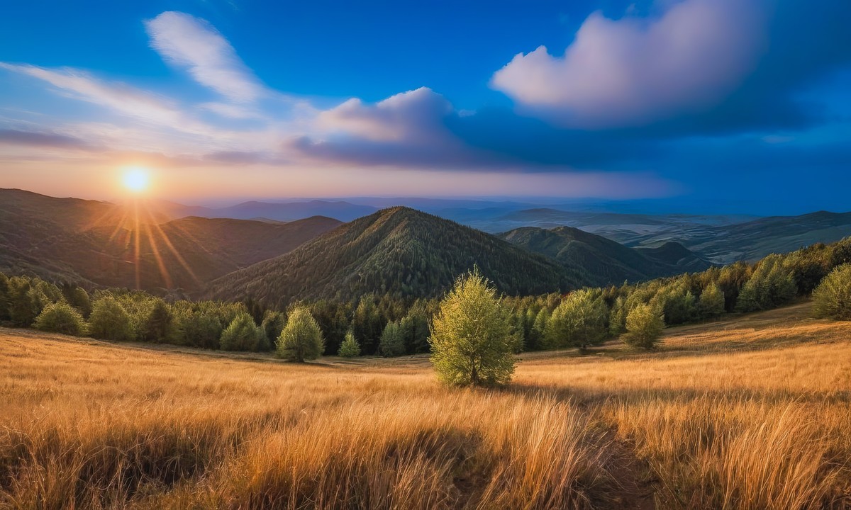 在寂静里听见自然的絮语