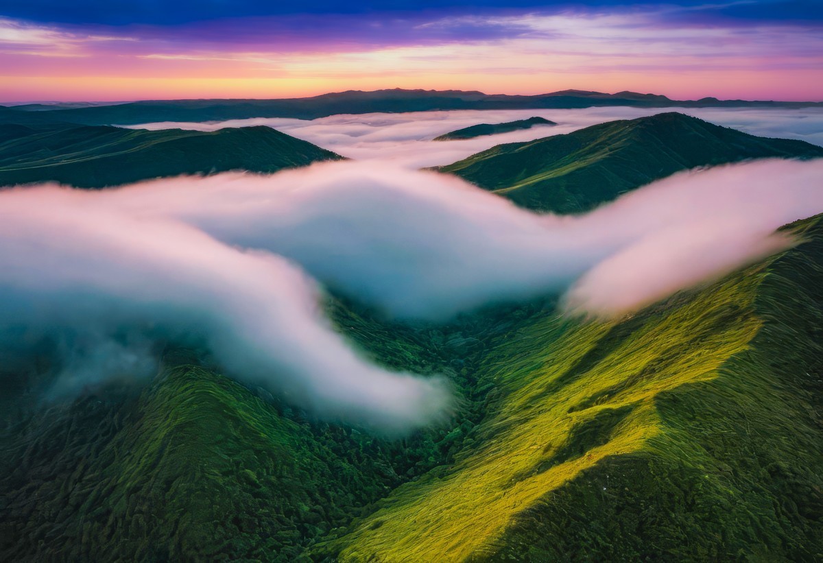 在寂静里听见自然的絮语