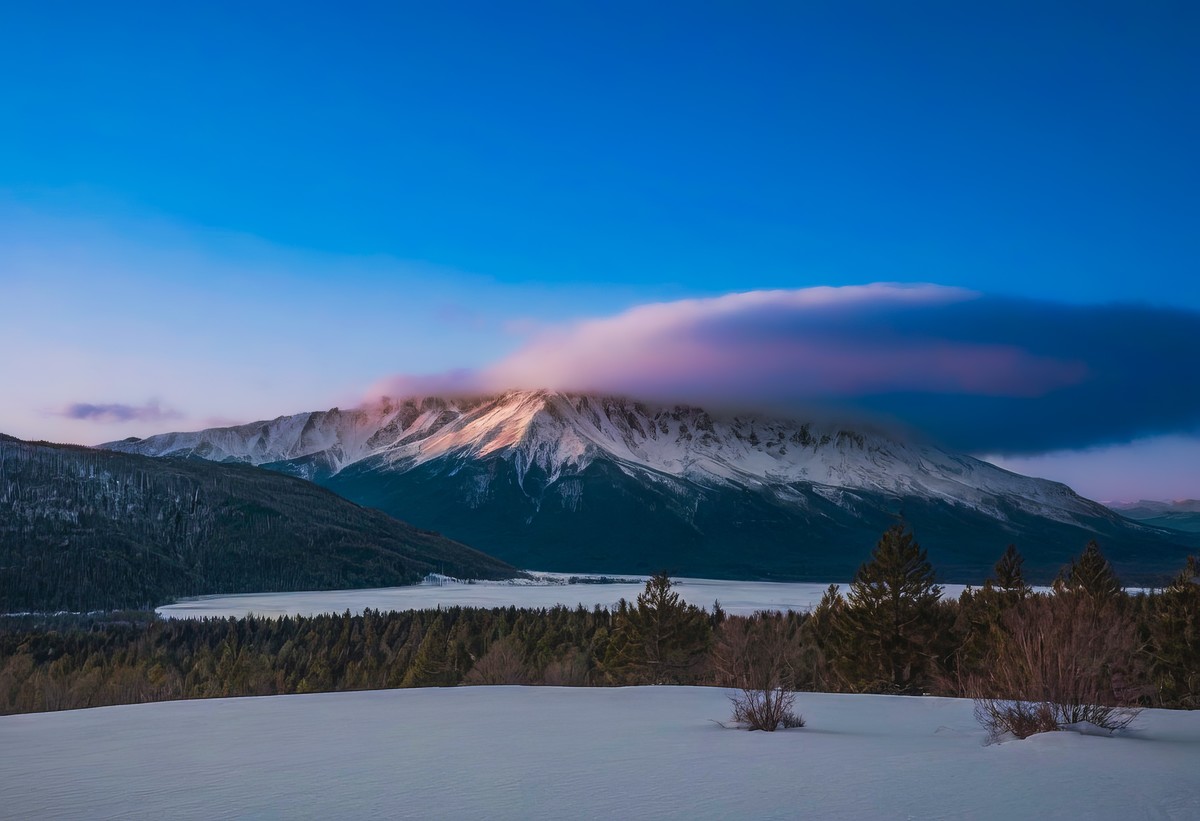 在寂静里听见自然的絮语