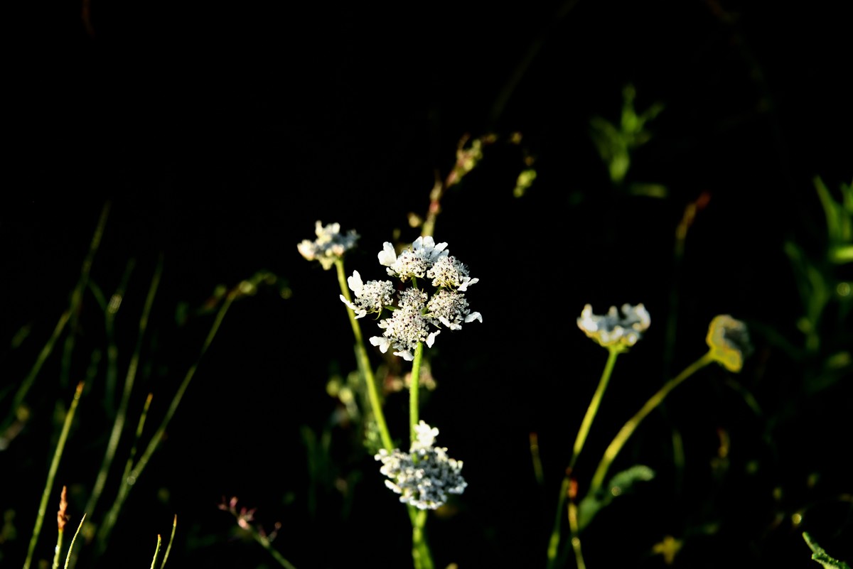 仲夏川北行——神座村【6】