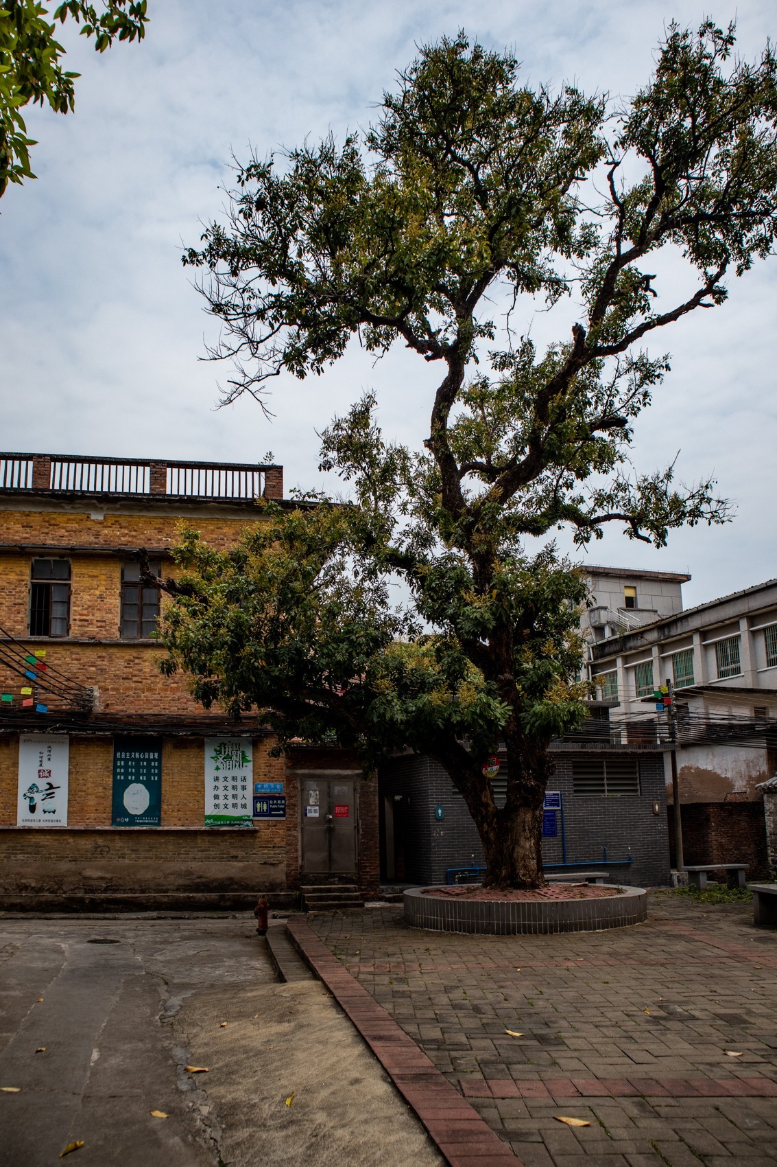 深井古村（10）