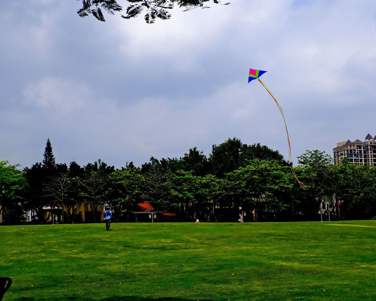 顺风山公园（6）