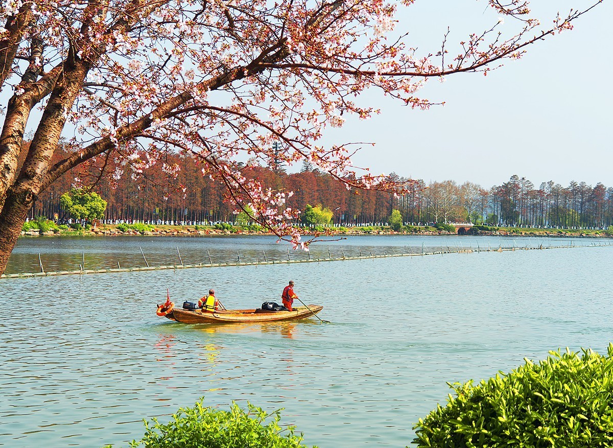 东湖1