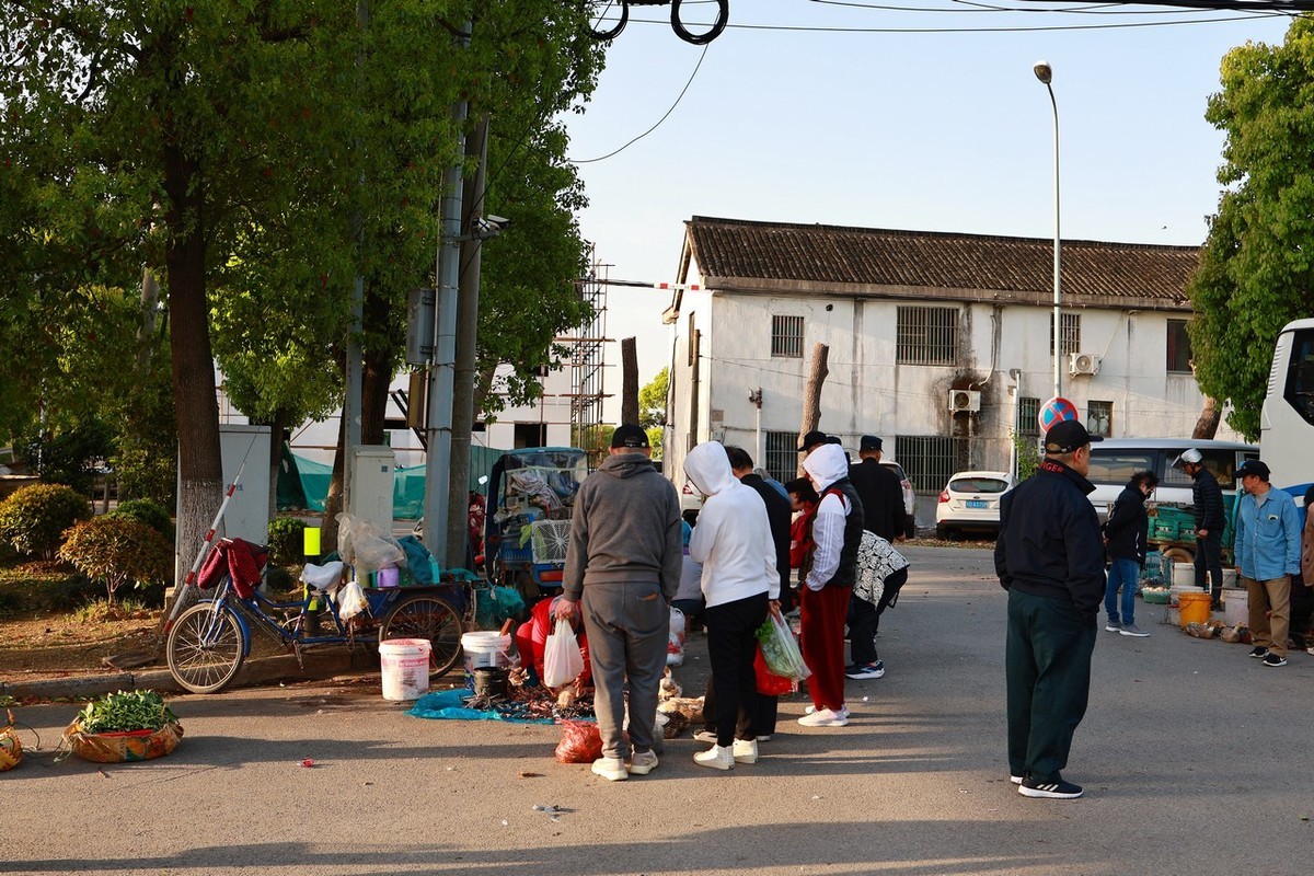 古镇随拍 ------ 1