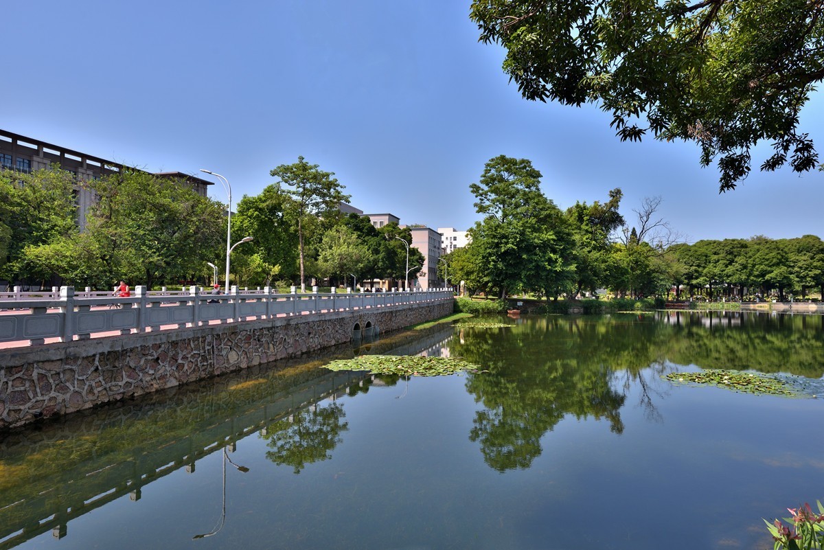 住宅区附近随拍