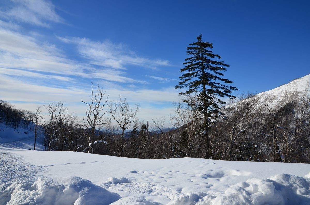 亚布力——二浪河子雪乡游拍（2）