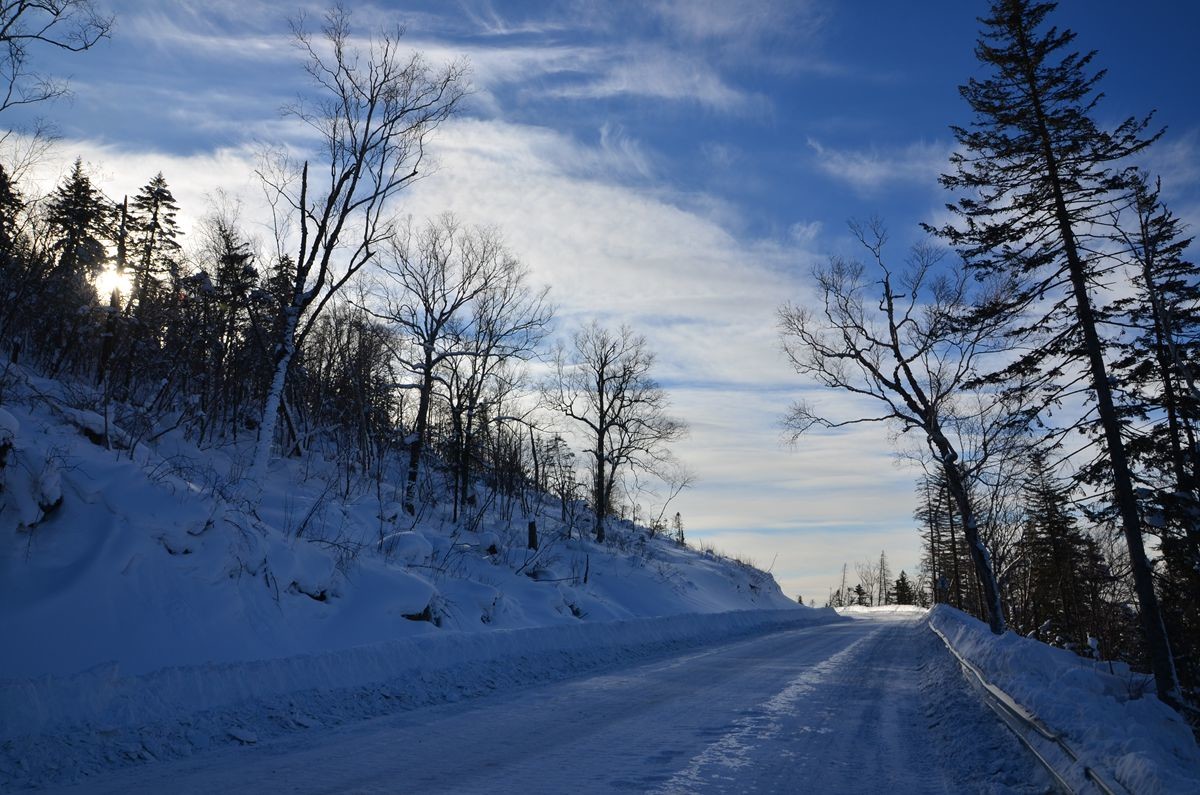 亚布力——二浪河子雪乡游拍（2）