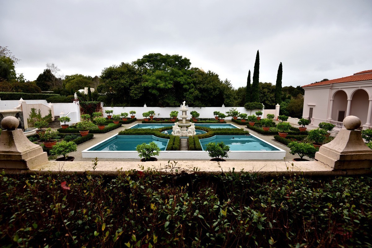 新西兰哈密尔顿花园      1/4