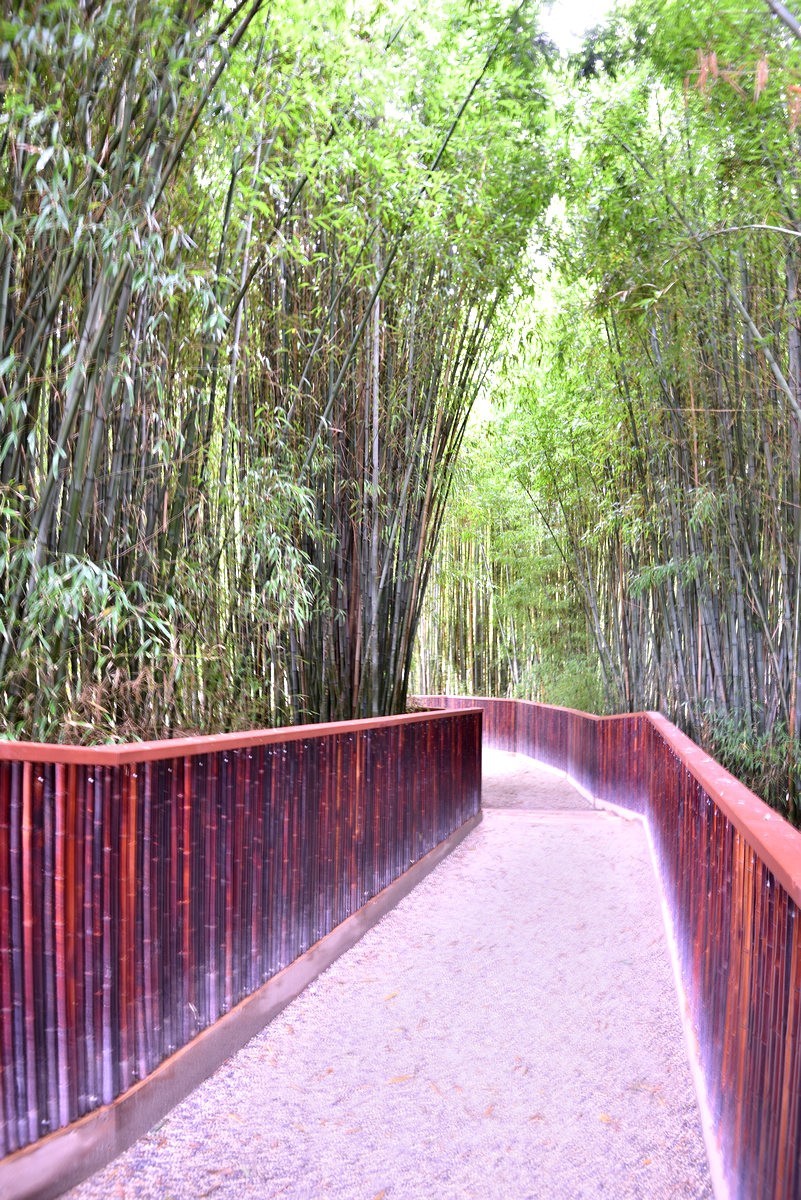 新西兰哈密尔顿花园      1/4