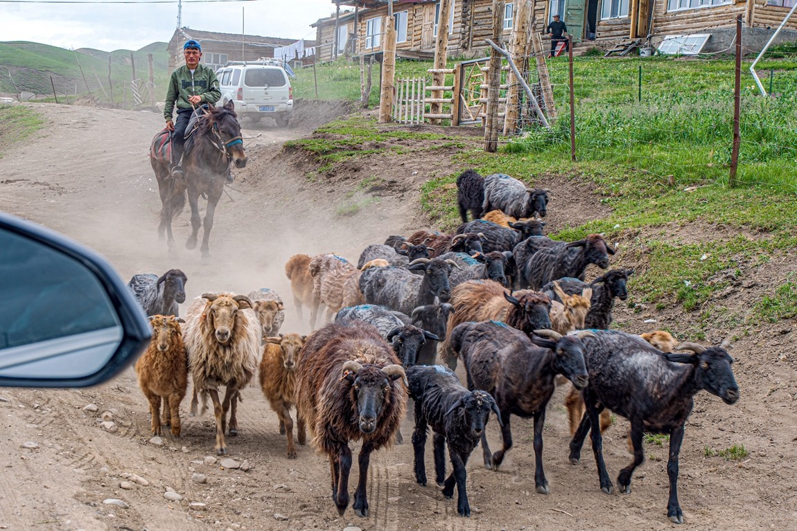 新疆行游--琼库什台返回特克斯县途中【3】