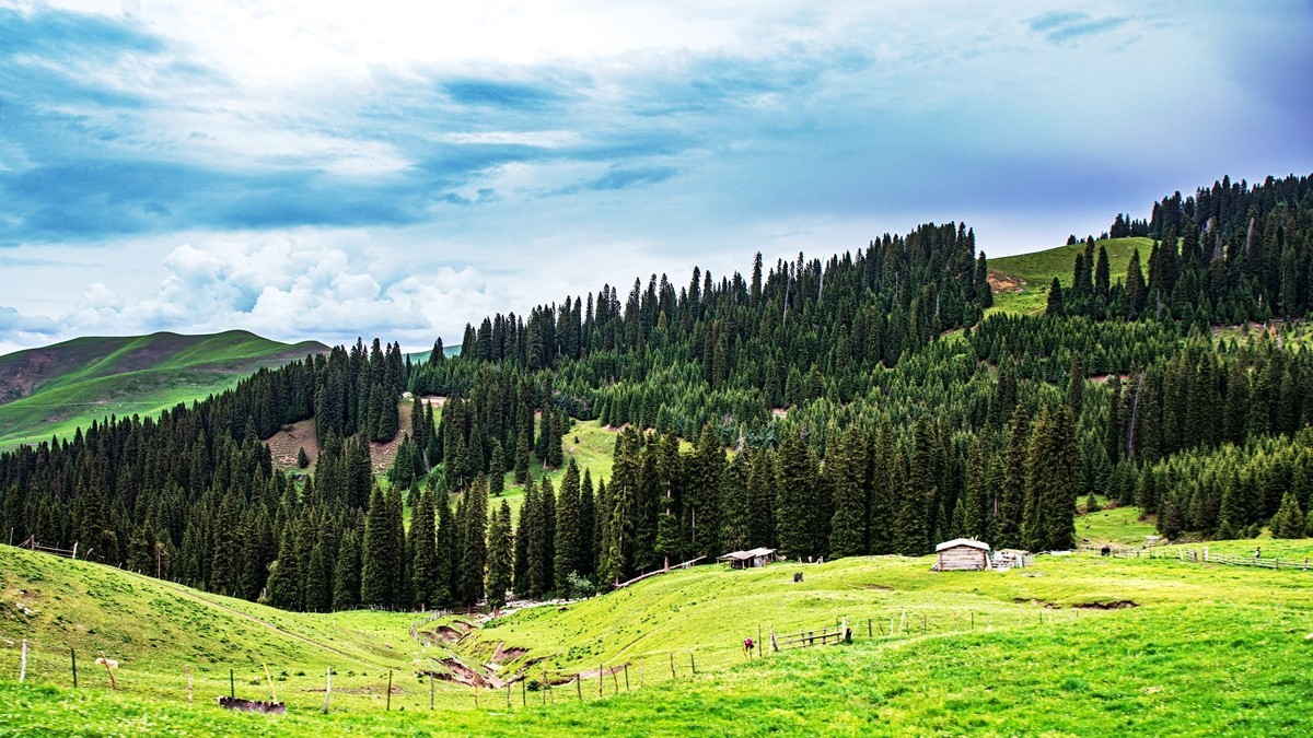 新疆行游--琼库什台返回特克斯县途中【3】