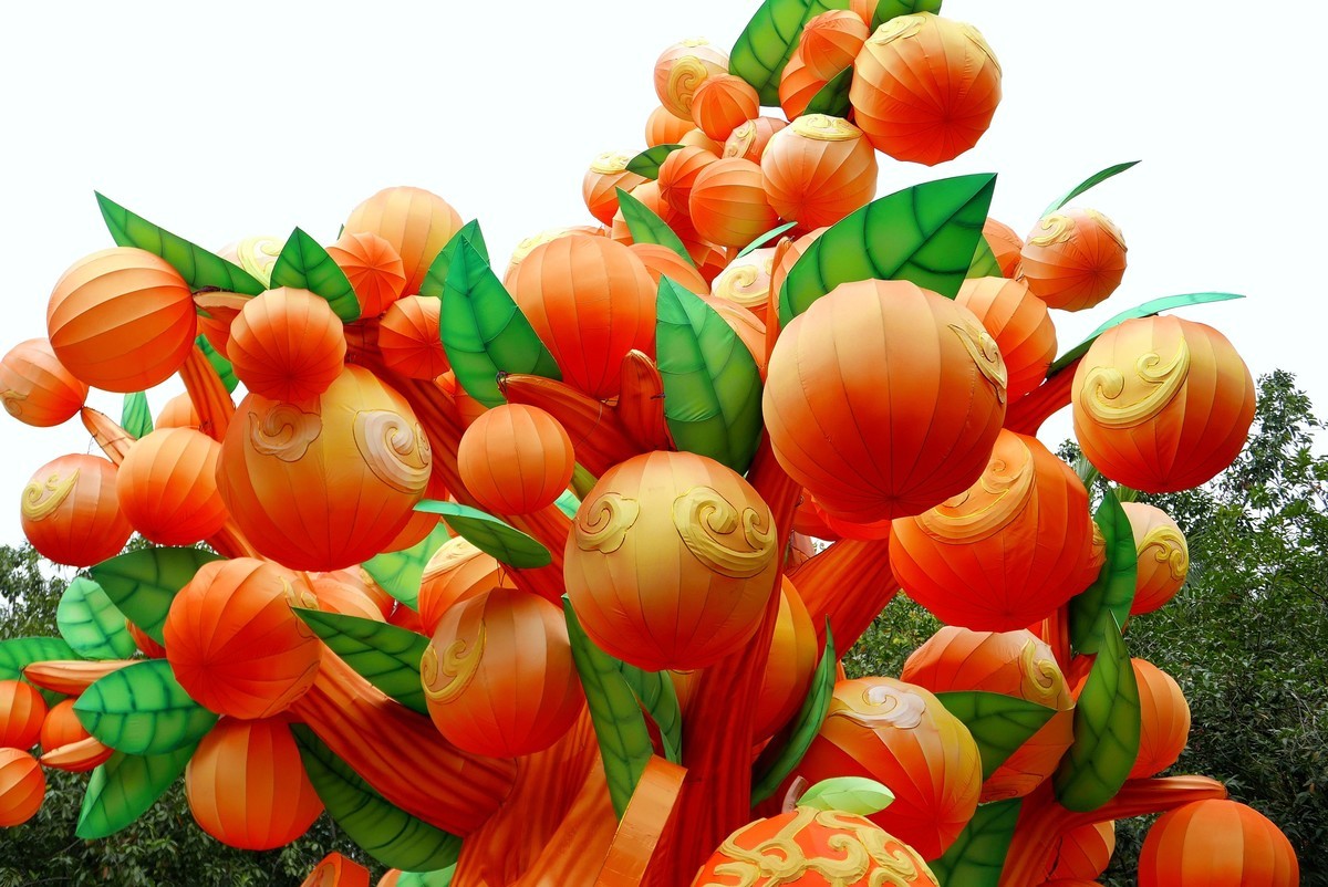 春节灯会四年后再见