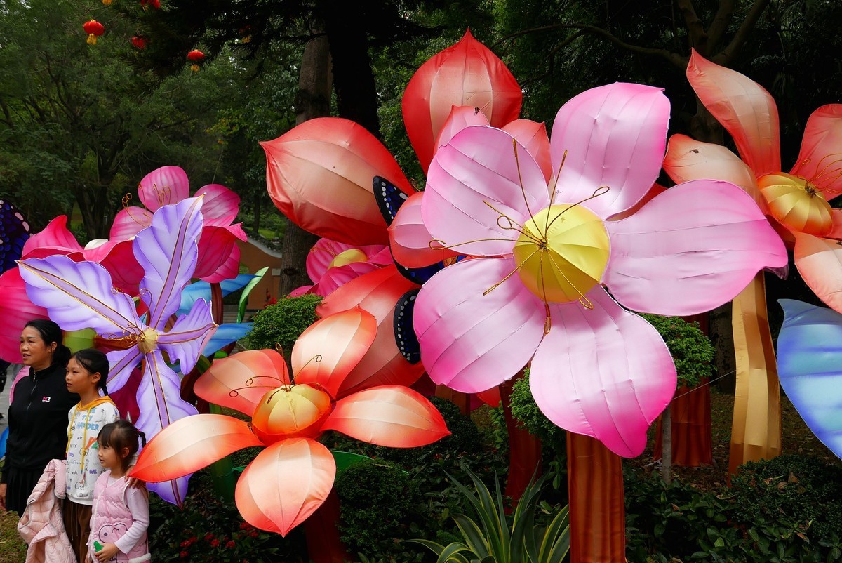 春节灯会四年后再见