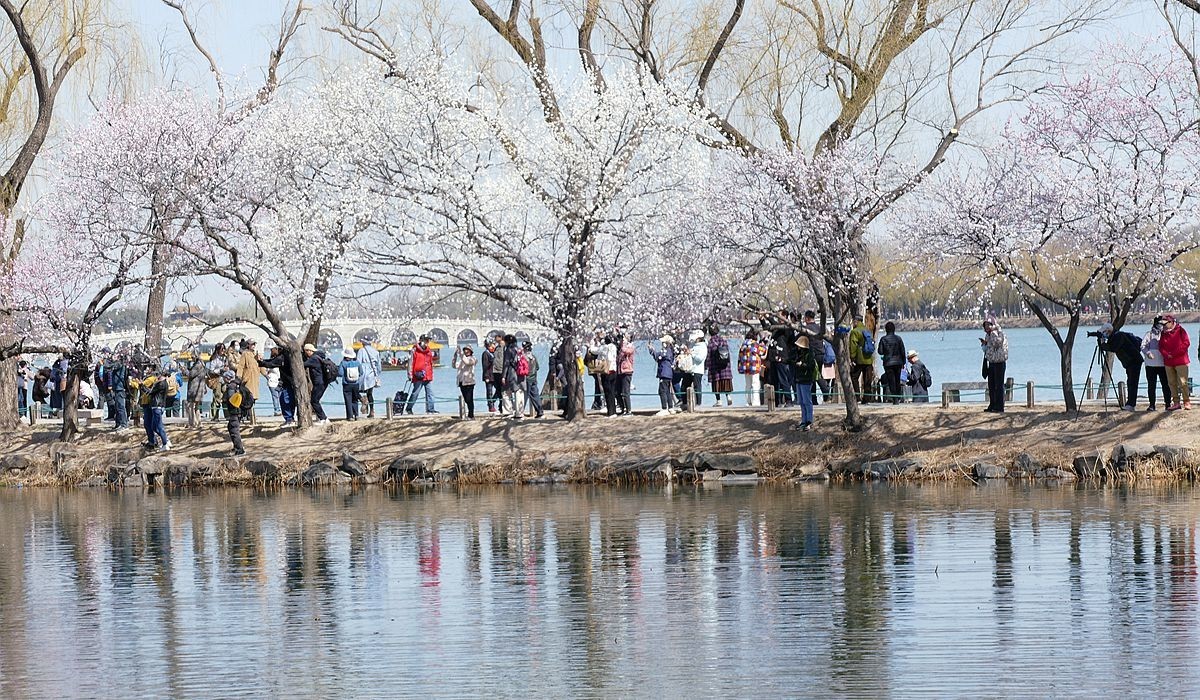 春分时节颐和园【四】