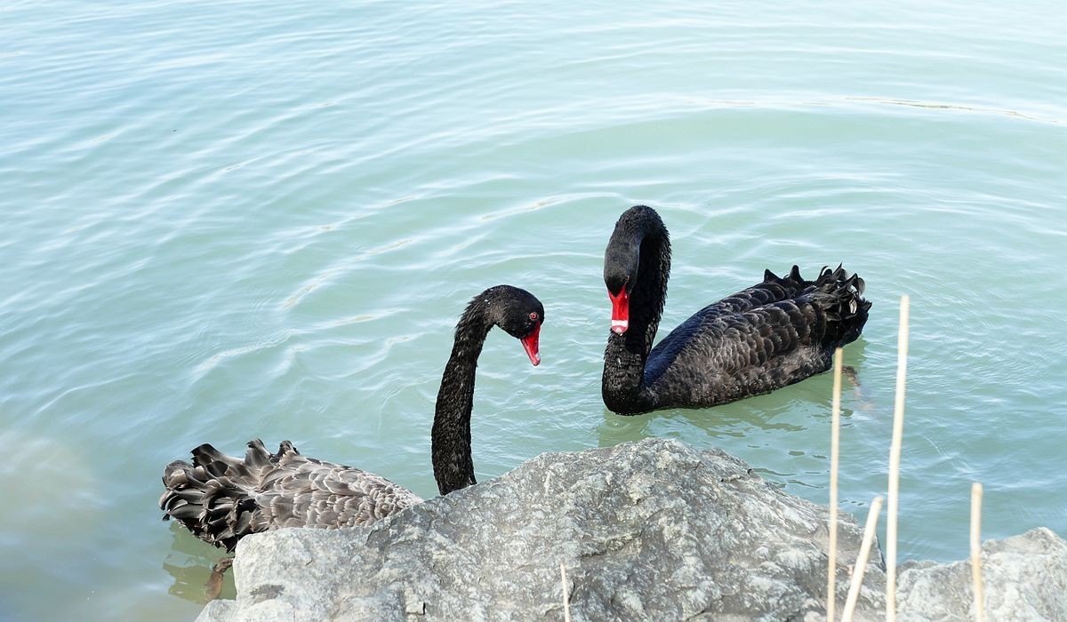春分时节颐和园【四】